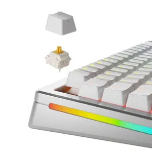 glorious-gaming-glorious-panda-tactile-mechanical-switches-3-69339-wlononwcrmtnb.webp