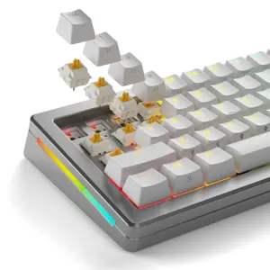 glorious-gaming-glorious-panda-tactile-mechanical-switches-3-70315-wlononwcrmtnb.webp