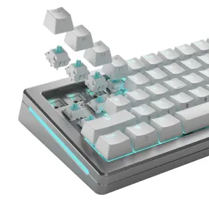 glorious-lynx-standard-switches-mechanical-5-pin-linear-mx-s-88438-wlononwcrfhww.webp