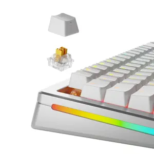 glorious-panda-he-standard-switches-hall-effect-tactile-mx-s-94091-wlononwcrfib3.webp