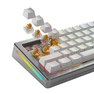 glorious-panda-he-standard-switches-hall-effect-tactile-mx-s-95070-wlononwcrfib3.webp