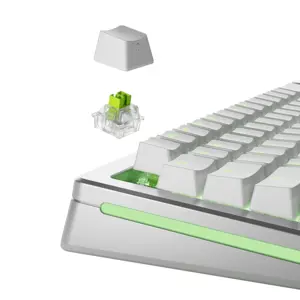 glorious-raptor-he-standard-switch-hall-effect-clicky-mx-ste-1774-wlononwcrficy.webp