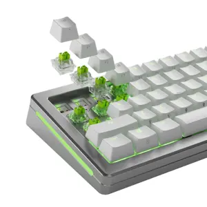 glorious-raptor-he-standard-switch-hall-effect-clicky-mx-ste-2752-wlononwcrficy.webp