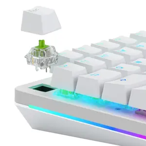 glorious-raptor-standard-mechanical-switch-5-pin-clicky-mx-s-20750-wlononwcrgtor.webp
