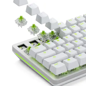 glorious-raptor-standard-mechanical-switch-5-pin-clicky-mx-s-22056-wlononwcrgtor.webp