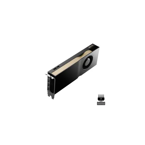 graphics-card-pny-nvidia-rtx-5000-ada-generation-32-gb-gddr6-30617-wlononwcrdeml.webp