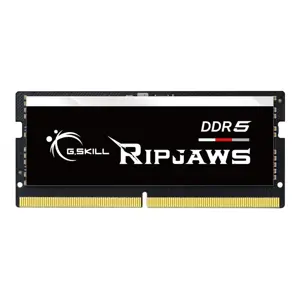 G.Skill Ripjaws F5-4800S4039A16GX1-RS memory module 16 GB 1 x 16 GB DDR5 262-pin SO-DIMM