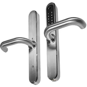 Handle with access control EURA ELH-30H4 Silver