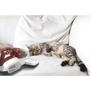 hoover-ultra-vortex-mbc500uv-011-handheld-vacuum-red-bagless-82977-wlononwcrbjmk.webp