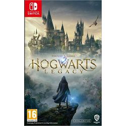Igra za NINTENDO Switch Hogwarts Legacy 
