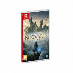 igra-za-nintendo-switch-hogwarts-legacy-preorder-nsw-0408_310442.jpg