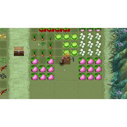 igra-za-nintendo-switch-rune-factory-3-special-preorder-nsw-0569_273703.jpg