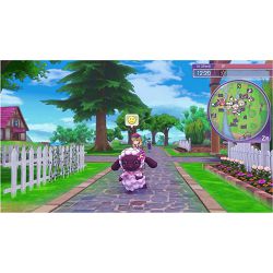 igra-za-nintendo-switch-rune-factory-5-76525-nsw-0422_643287.jpg