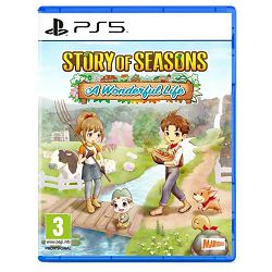 Igra za PS5 Story of Seasons Wonderful Life