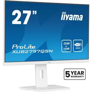 iiyama G-MASTER 27’’ QHD IPS technology panel with USB-C dock and RJ45 (LAN)