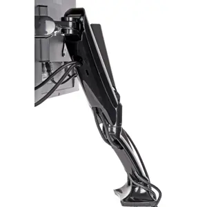 iiyama-sleek-and-stylish-dual-gas-spring-arm-92885-wlononwcrj365.webp