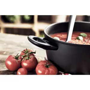 induction-pot-with-lid-ballarini-avola-28-ltr-48145-wlononwcrodw5.webp