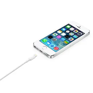 Kabel APPLE lightning/USB (2 m)