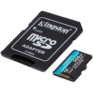 kingston-256gb-microsdxc-canvas-go-plus-gen4-200mbs-a2-u3-v3-40860-sdcg4256gb.webp