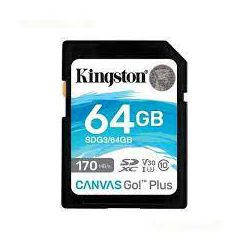 Kingston Canvas Go! Plus SD, R170MB/W70MB, 64GB
