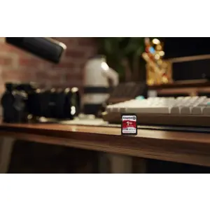 kingston-technology-1tb-canvas-react-plus-sdxc-uhs-ii-280r15-65946-pamkinsdg0262.webp