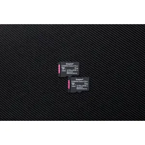 kingston-technology-1tb-microsdxc-canvas-select-plus-gen3-15-42172-pamkinsdg0283.webp