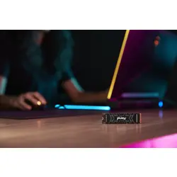 kingston-technology-2000g-fury-renegade-m2-2280-nvme-ssd-50052-diakinssd0081.webp
