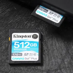 kingston-technology-canvas-go-plus-512gb-sdxc-canvas-go-plus-26044-wlononwcraod3.webp