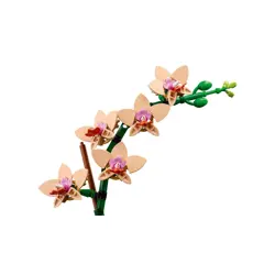 lego-botanicals-10343-mala-orchidea-85403-klolegleg1564.webp
