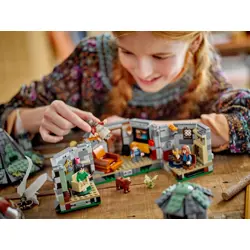 lego-harry-potter-76428-hagrids-hut-an-unexpected-visit-78774-wlononwcrbscs.webp