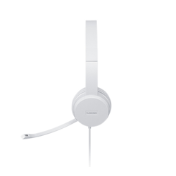 Lenovo GXD1E71385 headphones/headset Wired Wrist Calls/Music USB Type-A Grey