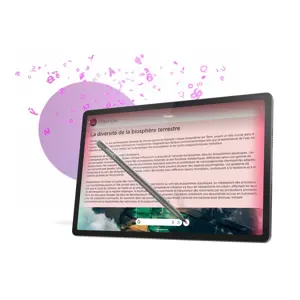lenovo-idea-tab-pro-mediatek-256-gb-323-cm-127-12-gb-wi-fi-6-66302-wlononwcrowrr.webp