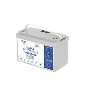 LiFePO4 12.8V 100 Ah (100A) BATTERY + LCD + BMS UNATTACHED