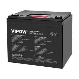 LiFePO4 Battery 100Ah with Battery Management System