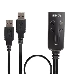 lindy-2-port-usb-km-switch-switch-fo-69713-wlononwcrakbp.webp