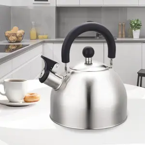 maestro-mr-1300-kettle-2-l-silver-83133-agdmeoczn0046.webp
