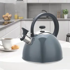 maestro-mr-1302-grey-kettle-25-l-grey-84887-agdmeoczn0047.webp