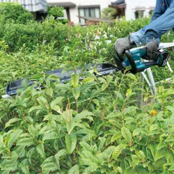 makita-duh606z-power-hedge-trimmer-double-blade-22-kg-41759-wlononwcrcjzn.webp