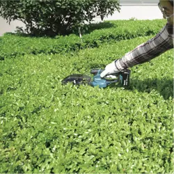 makita-dum604zx-cordless-grass-shear-16-cm-18-v-lithium-ion--76978-nakmakntr0003.webp
