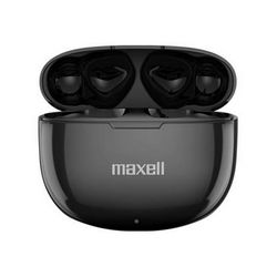 max-dyn-plus-bl_1.jpg