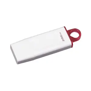 MEM UFD 256GB DTX White KIN KC-U2G256-5R