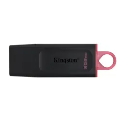 memorija-usb-kingston-technology-datatraveler-exodia-256-gb--37209-pamkinfld0393.webp