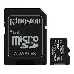 Memorijska kartica KINGSTON microSDXC/ Select plus/ Class10/ 256GB