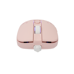 mis-white-shark-gm-9004-tristan-2-rgb-12800-dpi-pink-61972-105537.webp