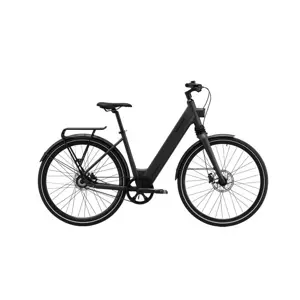 MS ENERGY eBike c300