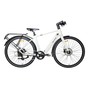 MS ENERGY eBike c40