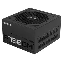 napajanje-gigabyte-p750gm-750-w-204-pin-atx-crno-7391-zdlgigobu0005.webp