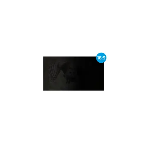 natec-nfp-1616-display-privacy-filters-frameless-display-pri-76725-wlononwcrdgky.webp