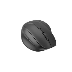 natec-vertical-mouse-crake-2-wireless-black-8778-wlononwcrmxr3.webp
