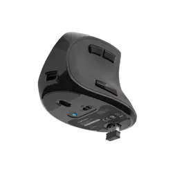 natec-wireless-mouse-euphonie-2400dpi-black-72477-wlononwcrayl6.webp